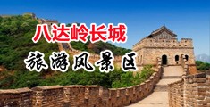 男人插女人骚988视频中国北京-八达岭长城旅游风景区
